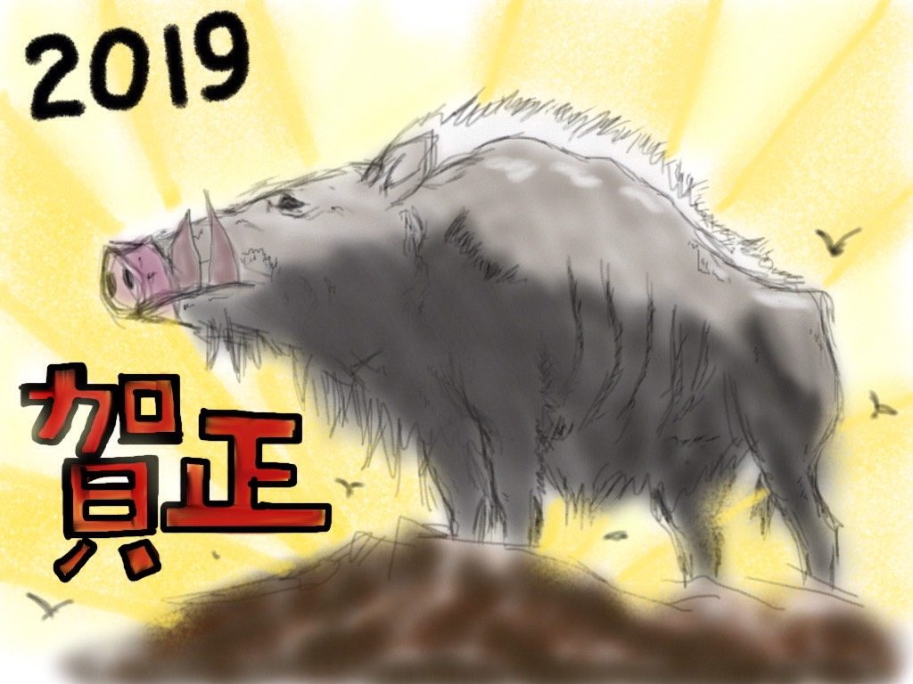 明けましておめでとうございます(*´▽｀*)