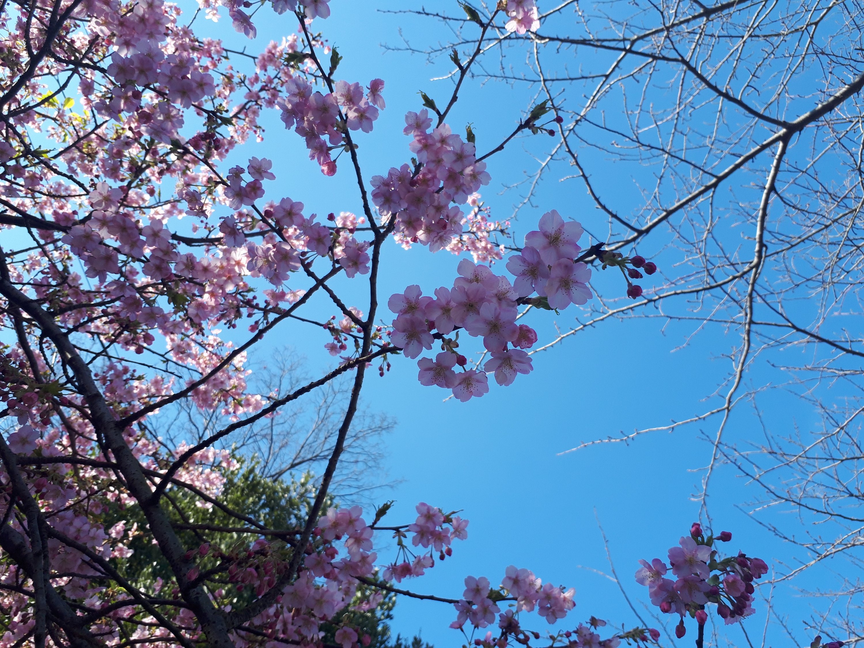３月だし、更新したくなって。