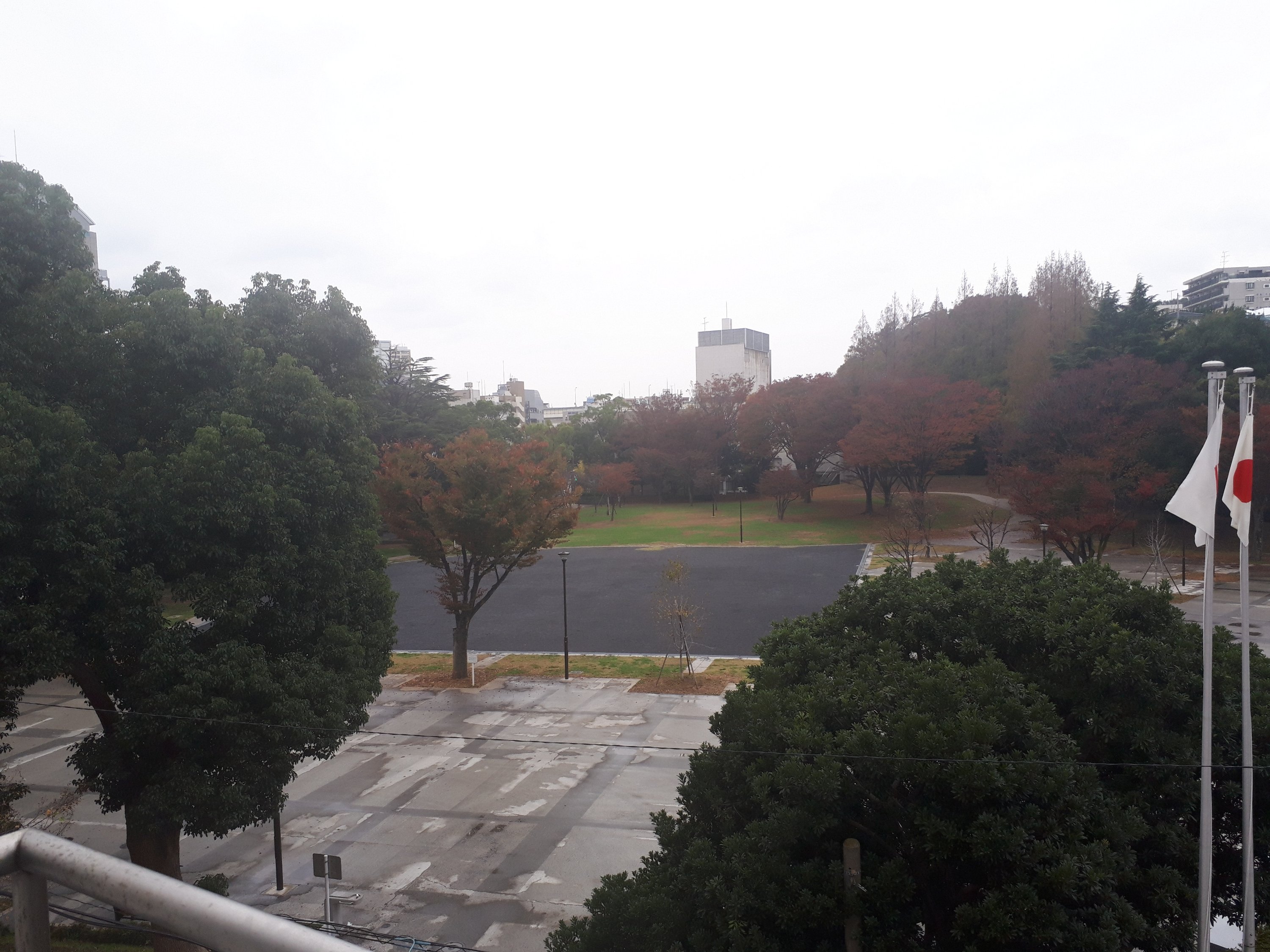 読書の秋　2