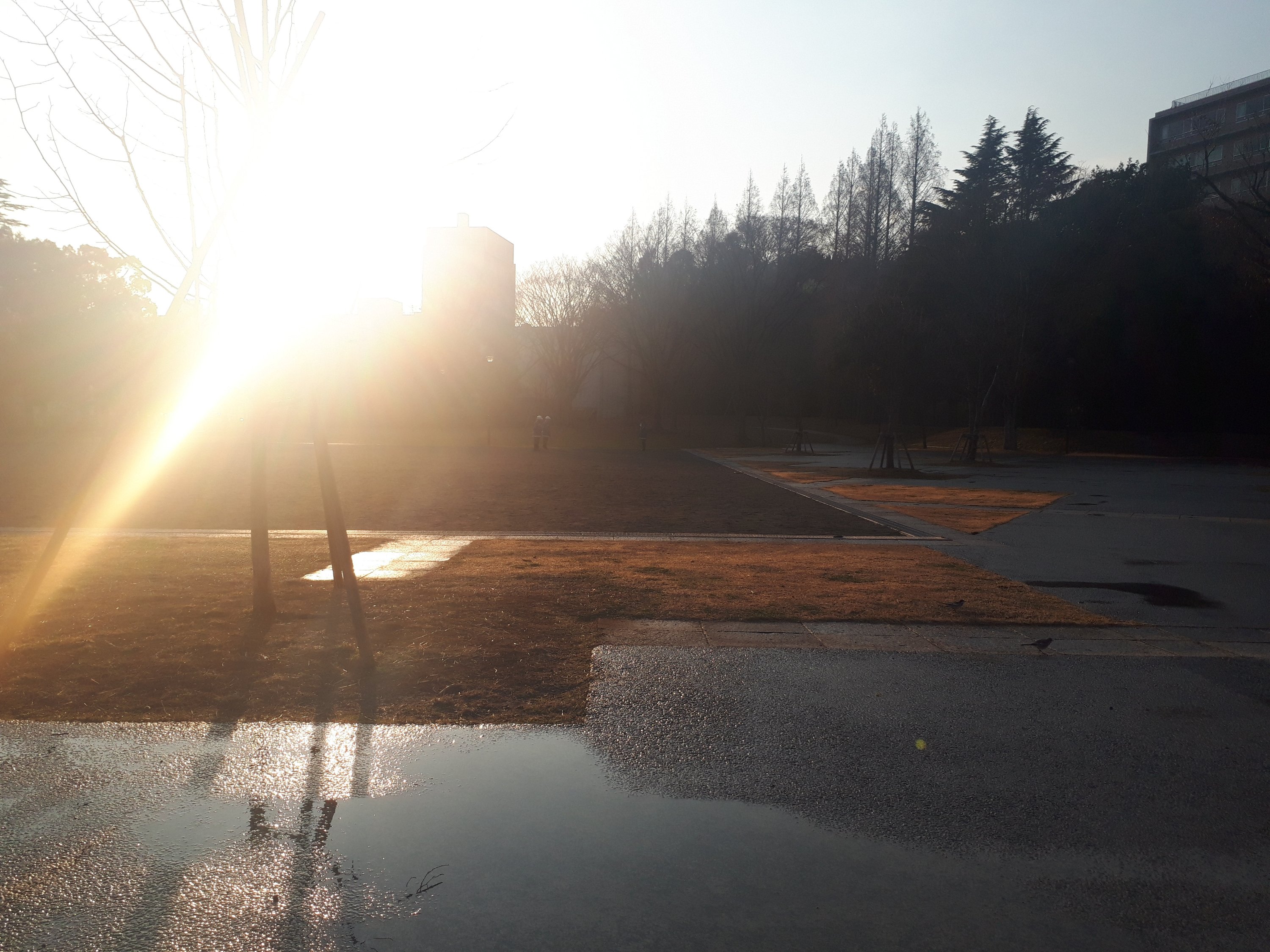 沢渡公園の午後