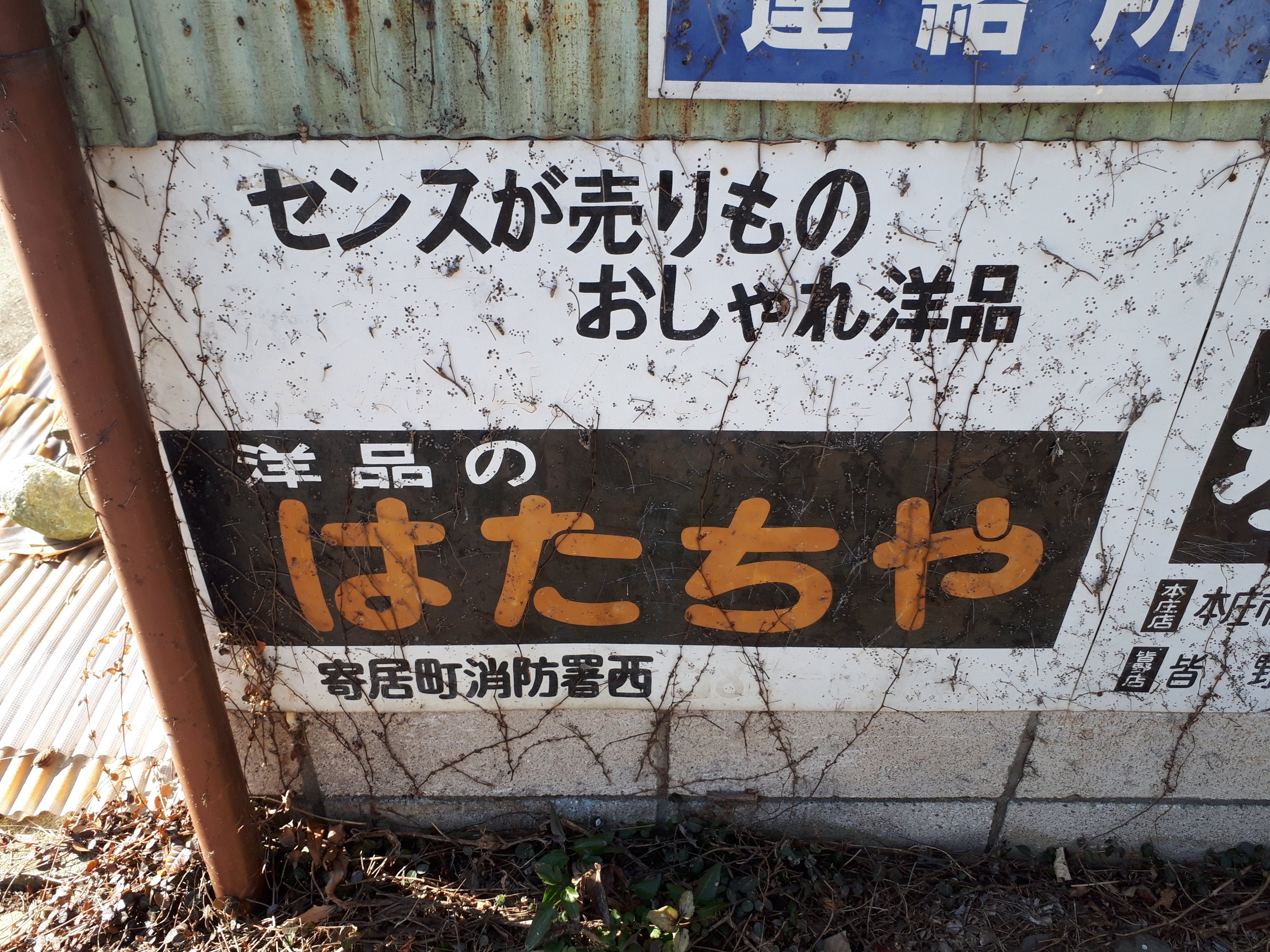 いま、埼玉がアツい！！