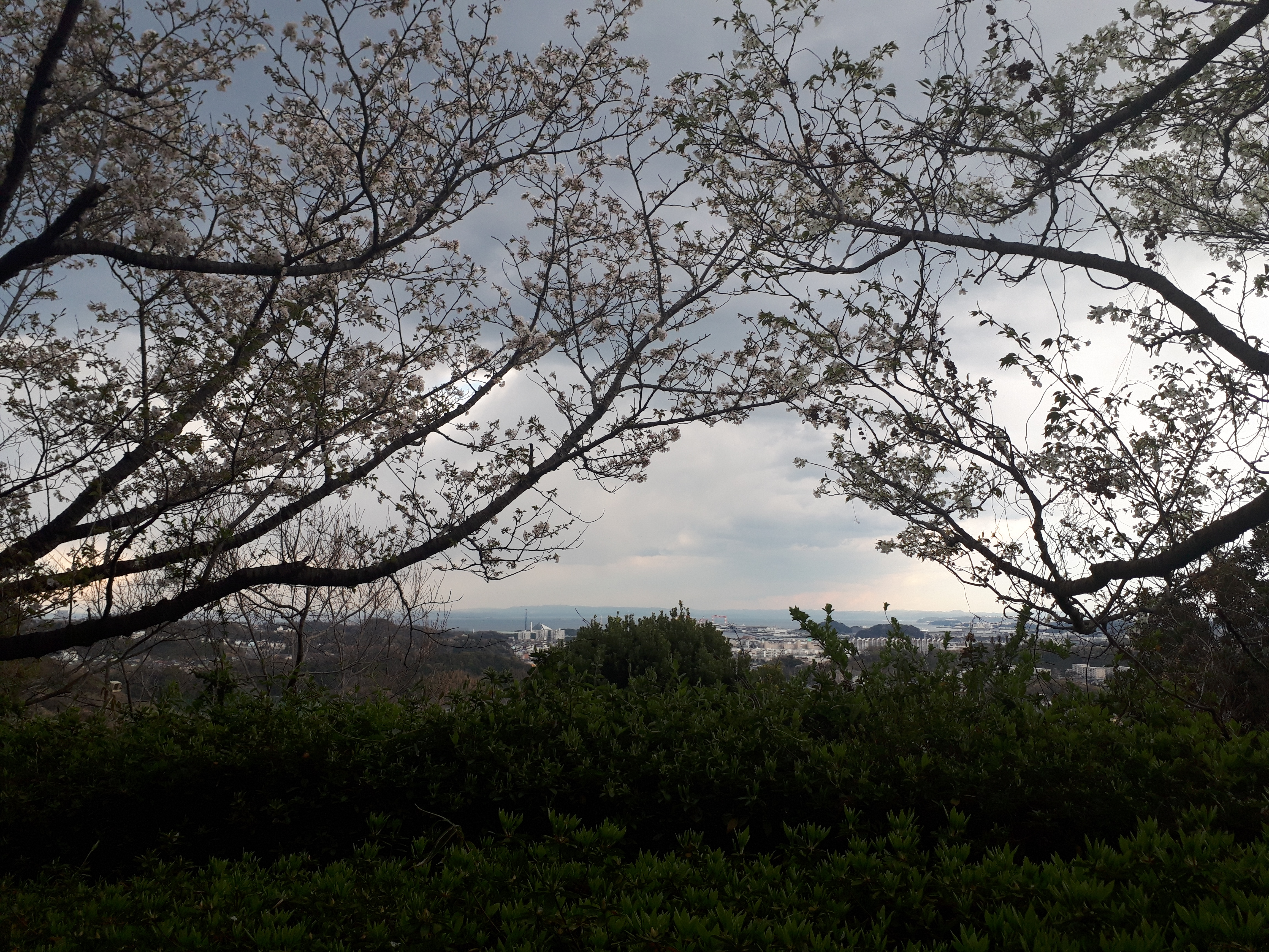 現場風景(金沢区自然動物公園内) (横浜・警備)