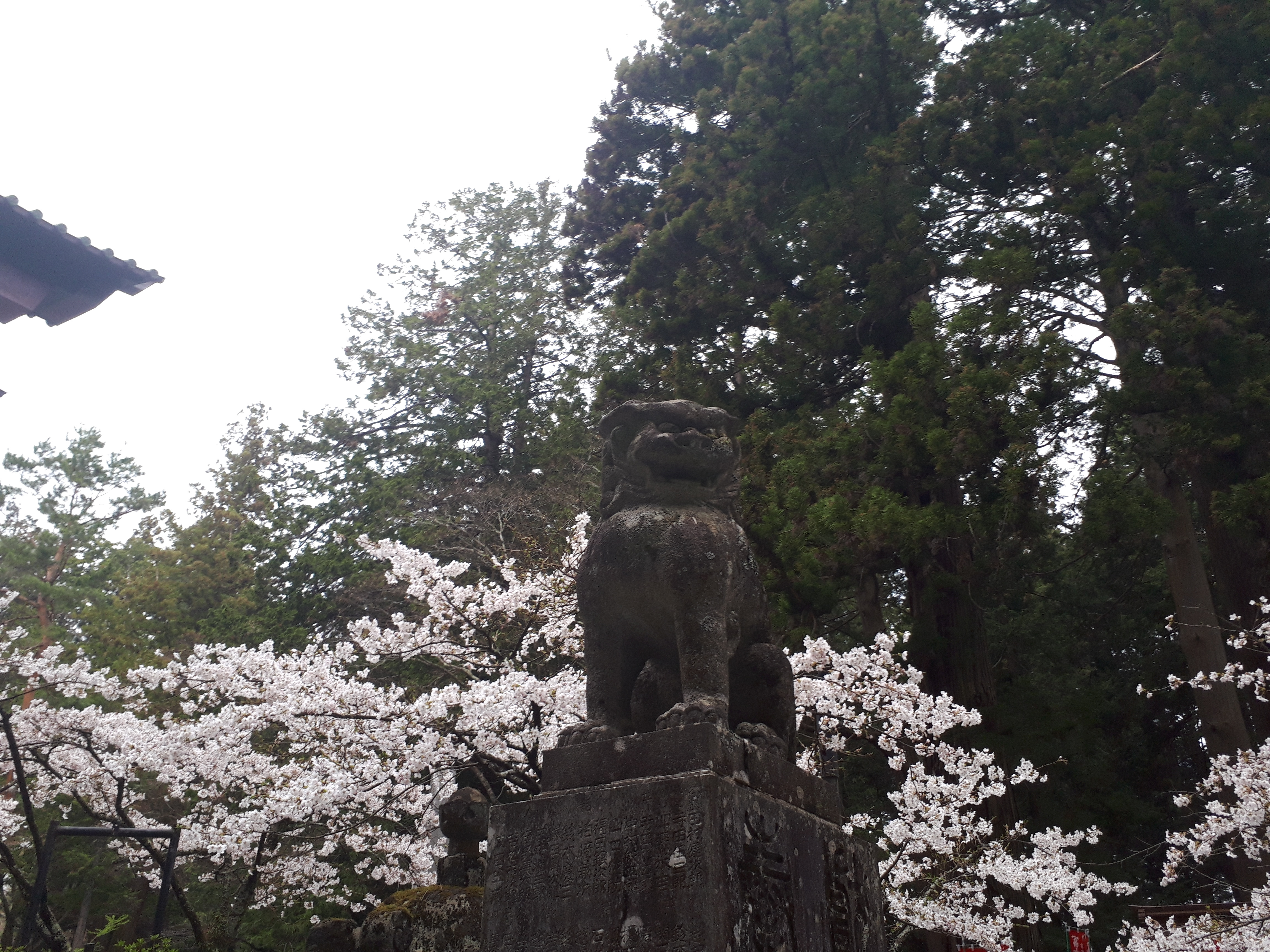 人生の意味