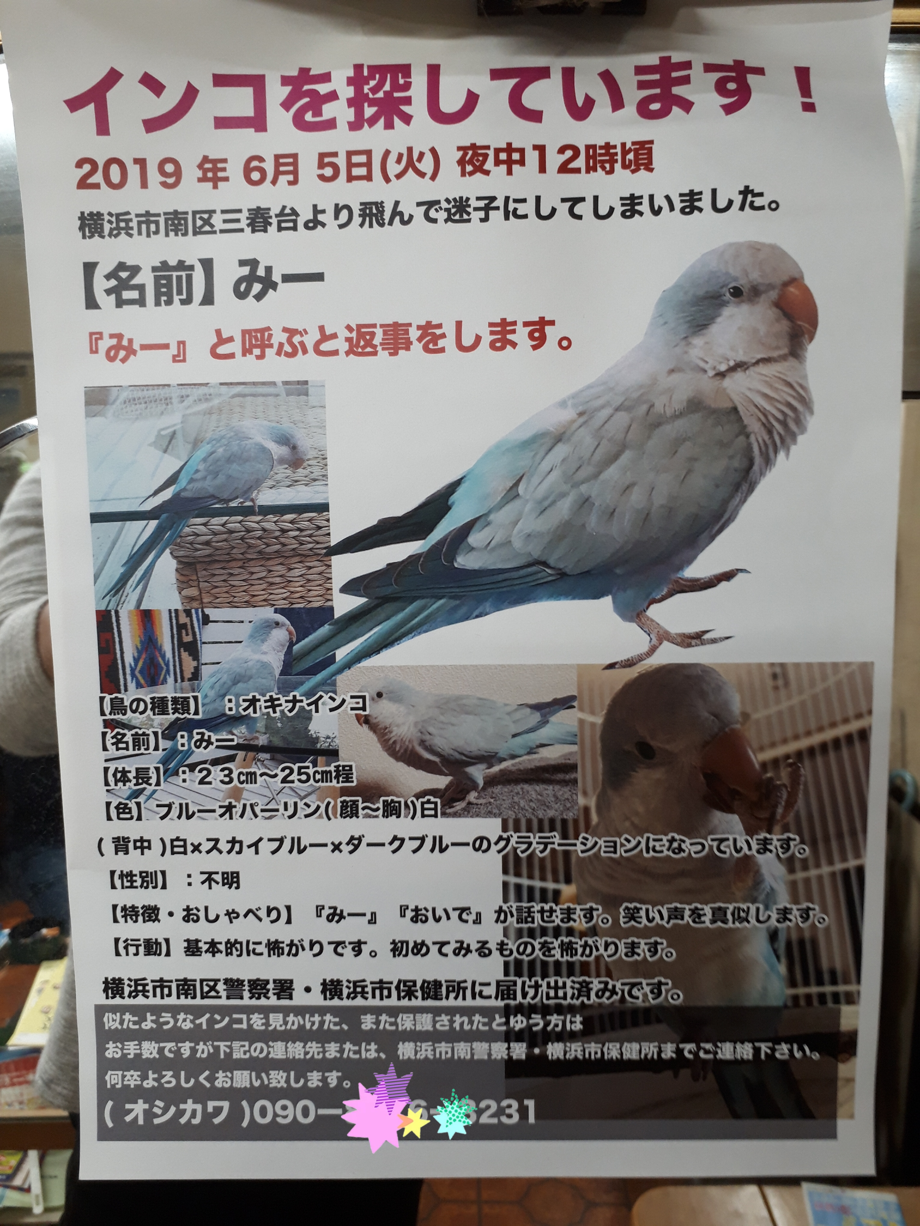 【拡散希望】インコのみーちゃんどこ行った！？