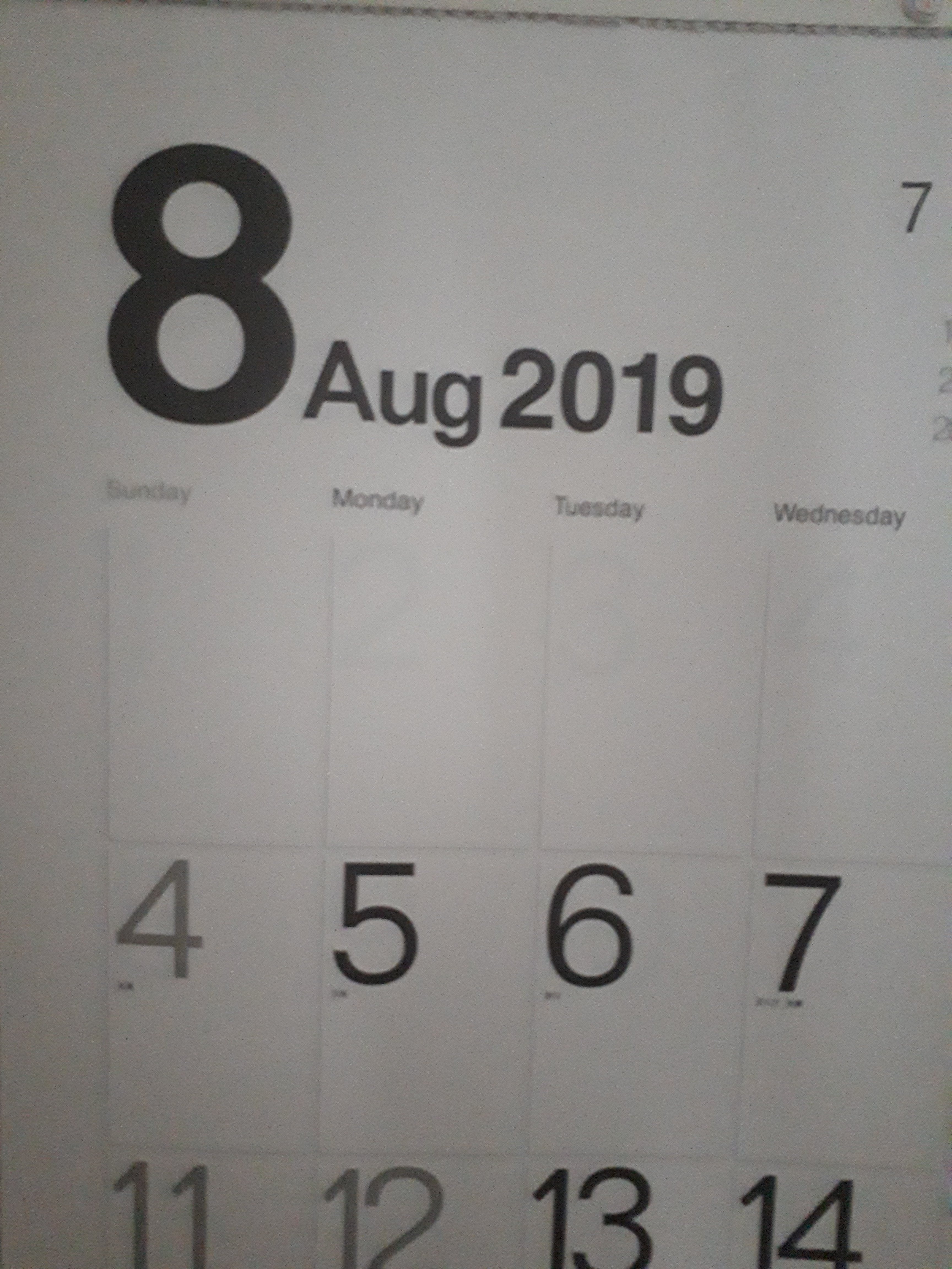 【盛夏】８月に突入しました！！