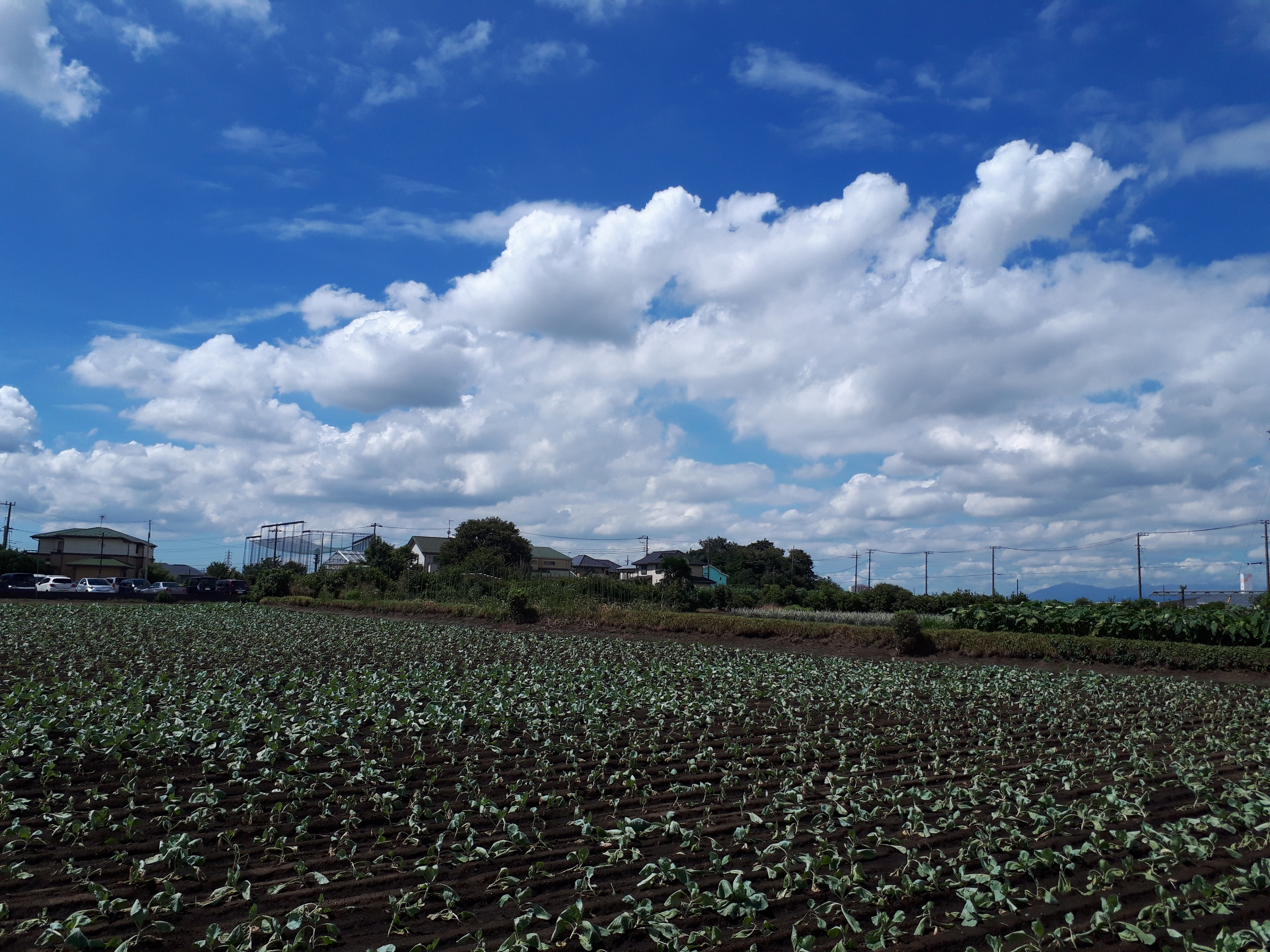 【悲報】横浜が田舎だって事が、先週の日曜日に証明されました。