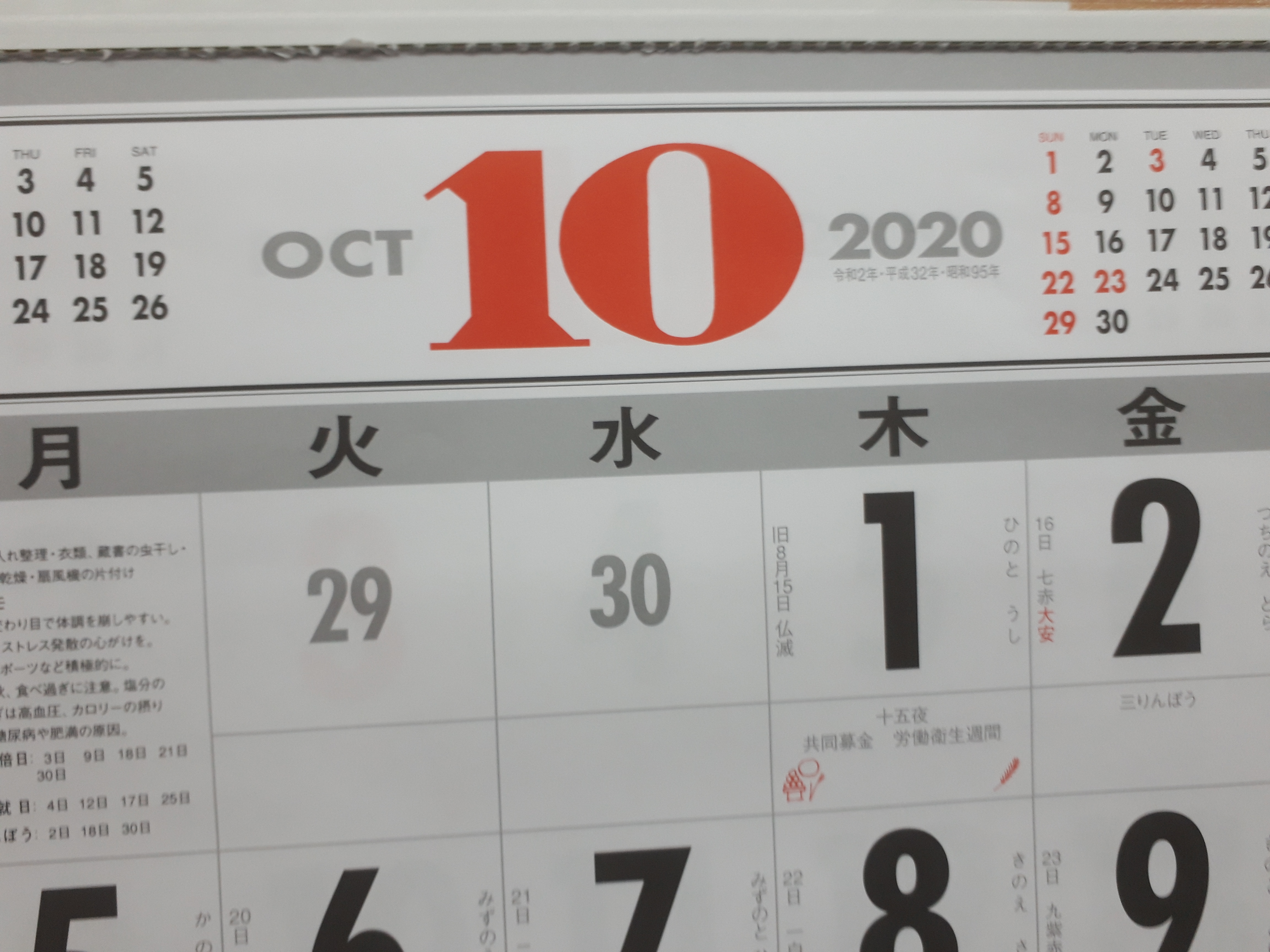 最近、ちょっとふっくらした？