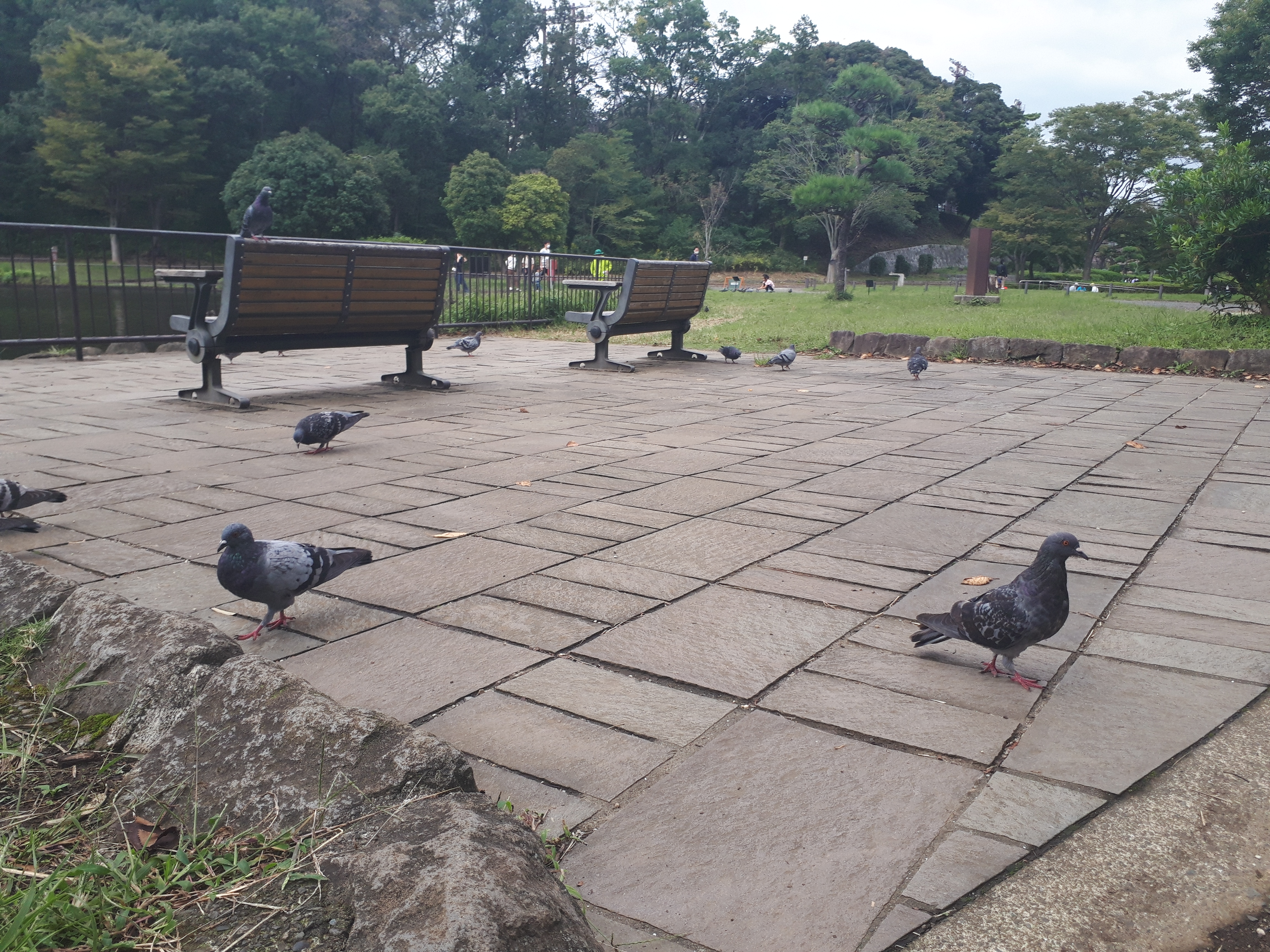 旭区にある子供自然公園行って子供に還ってみた！！