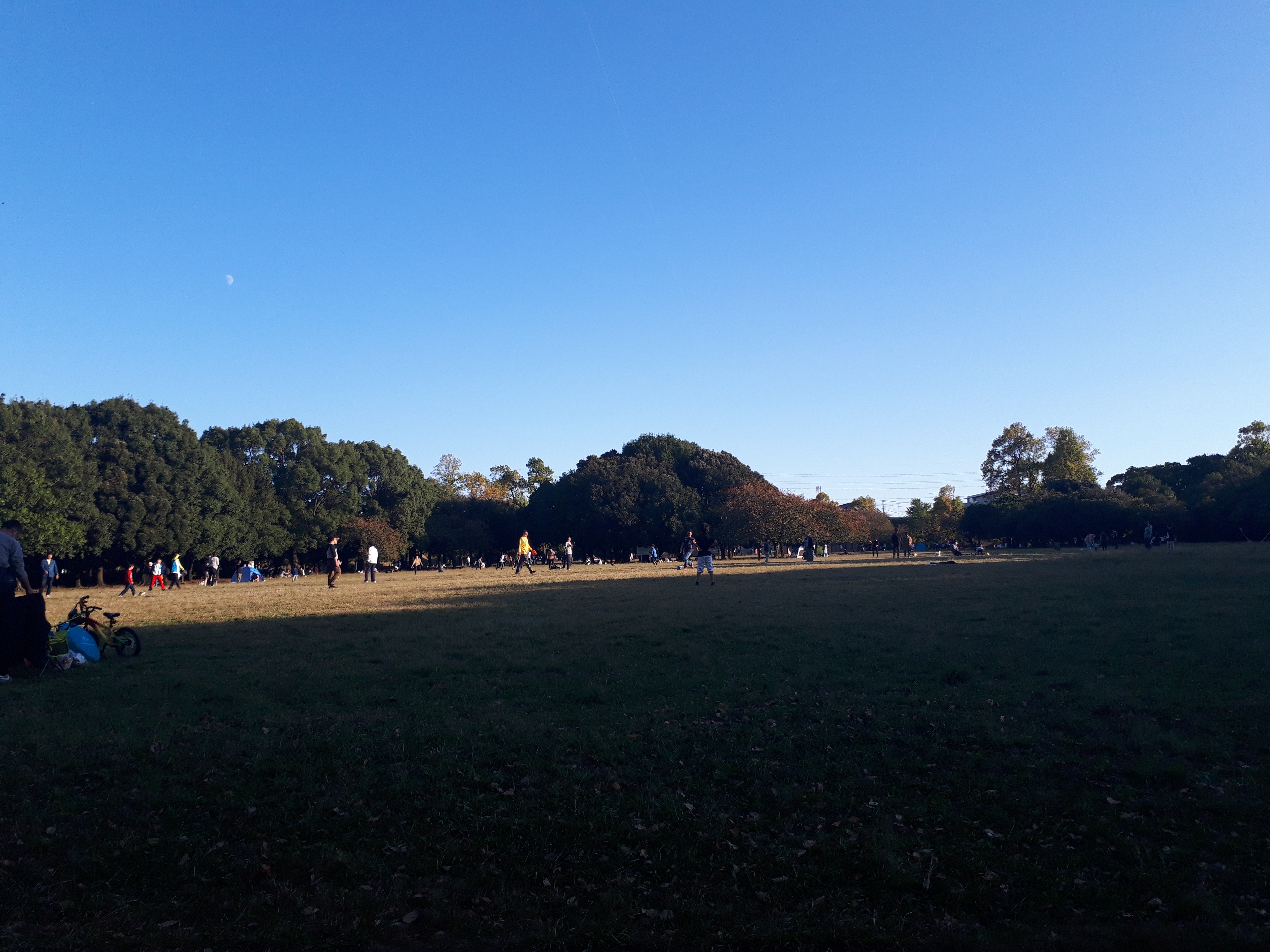 是非とも岸根公園を世界遺産に！！