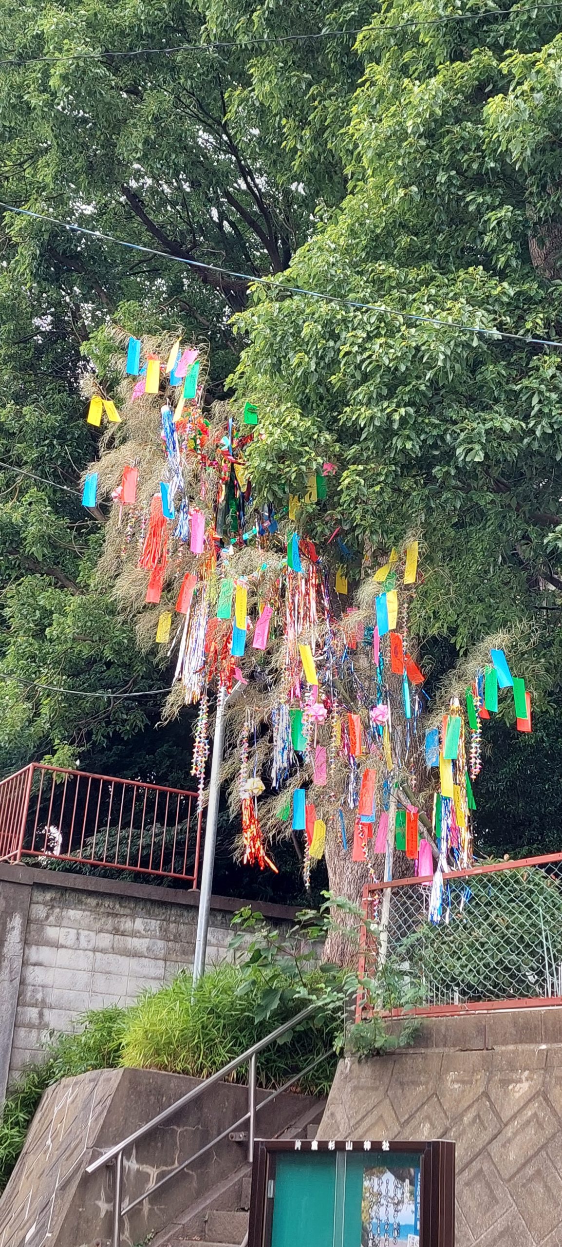 七夕