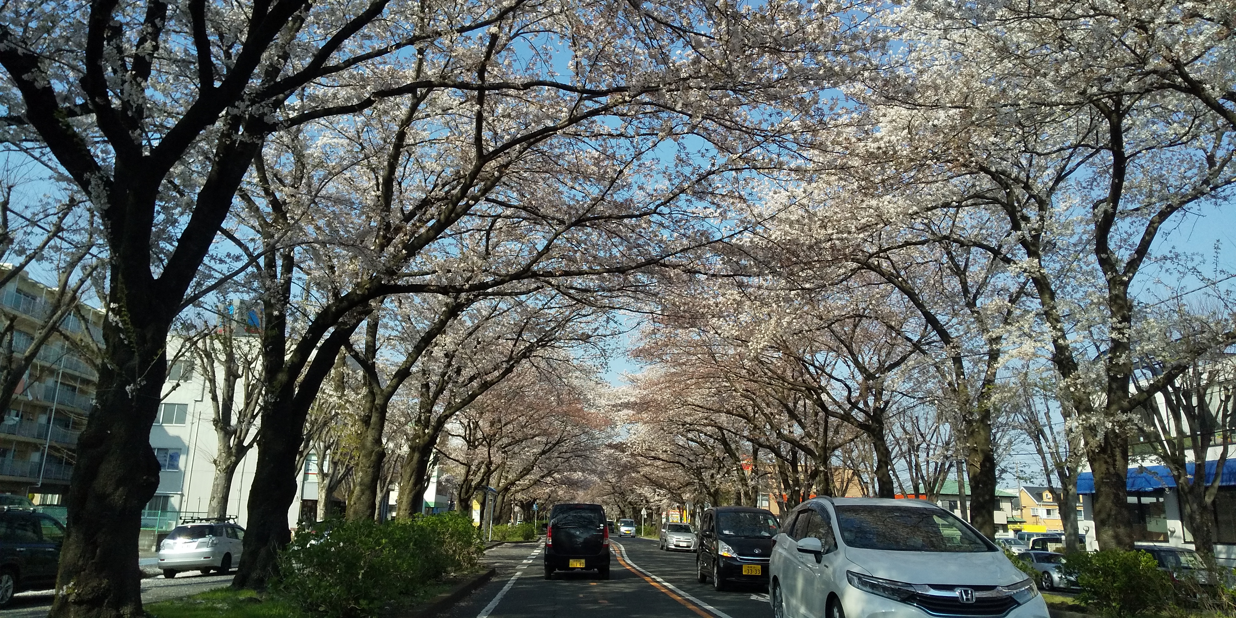 花を見て笑う。