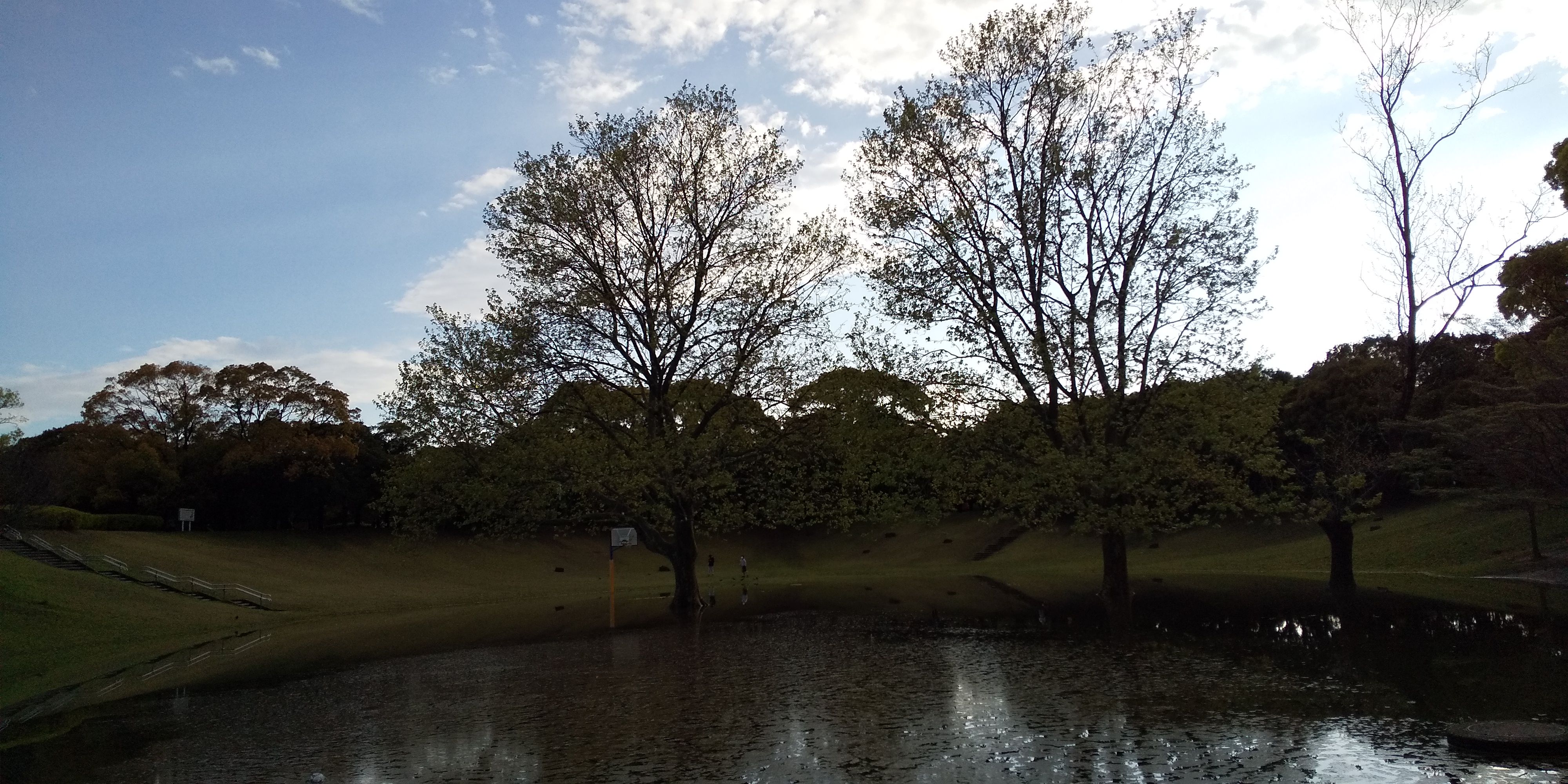 いつもとちょっと違う光景～雨あがりの外出～