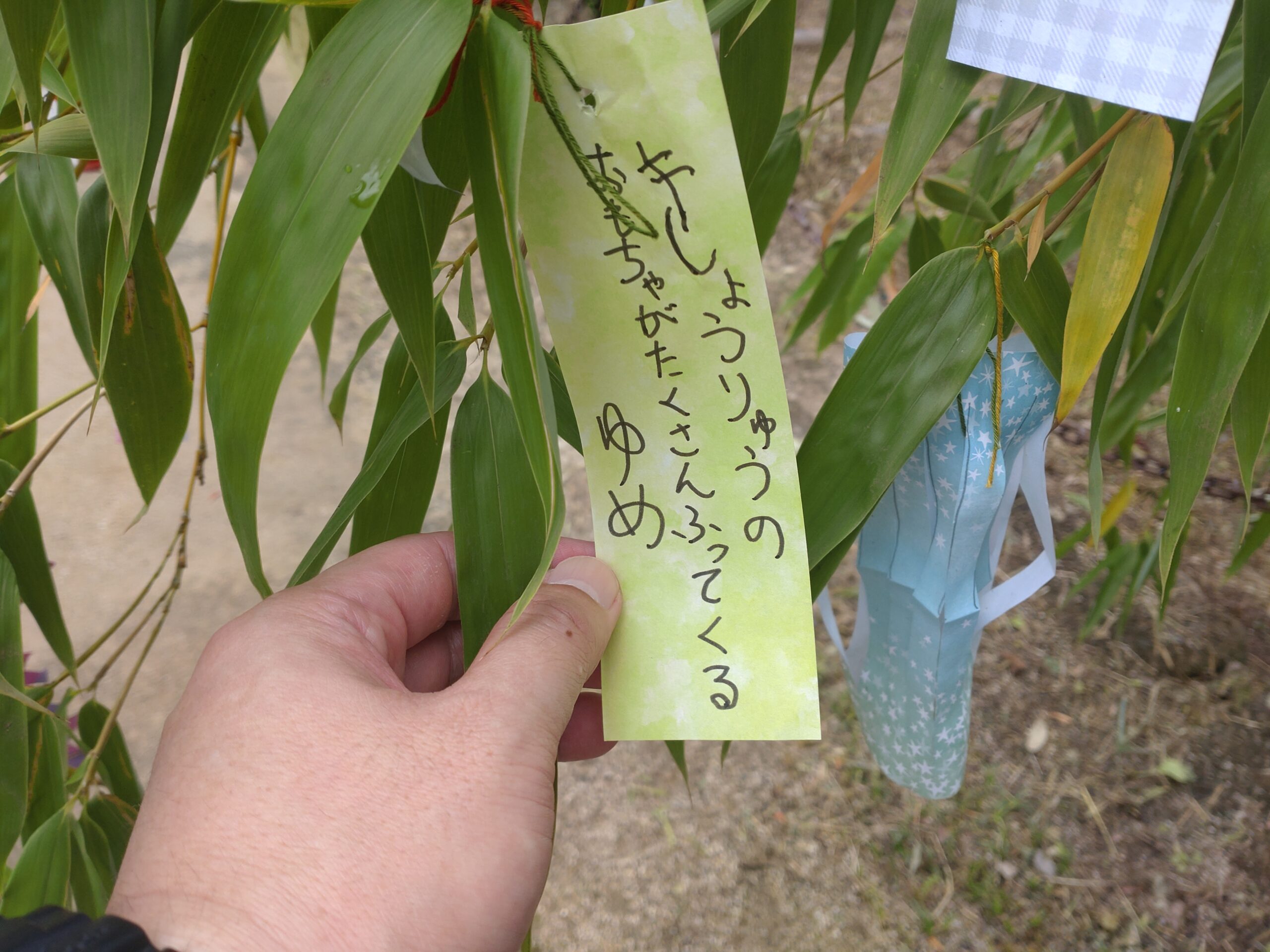 今日は七夕。みんなの願いも叶いますように。