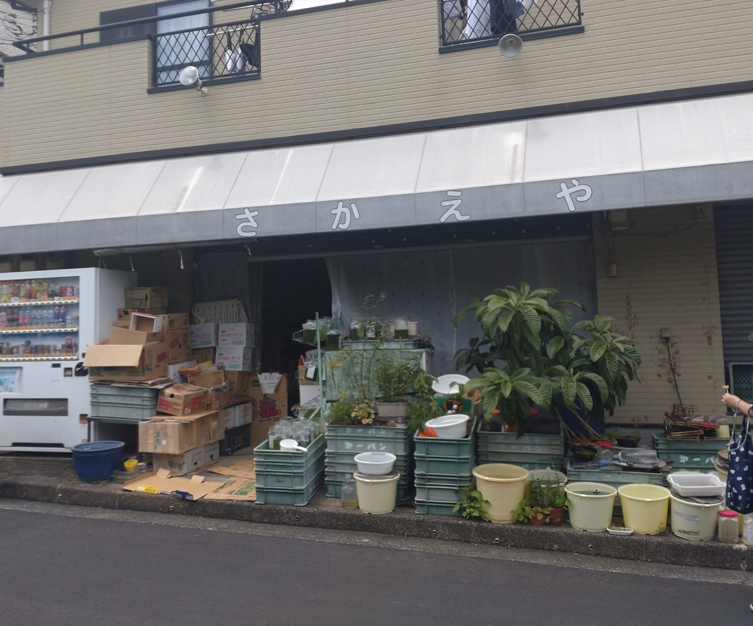 子ども達の季節がやってきます。