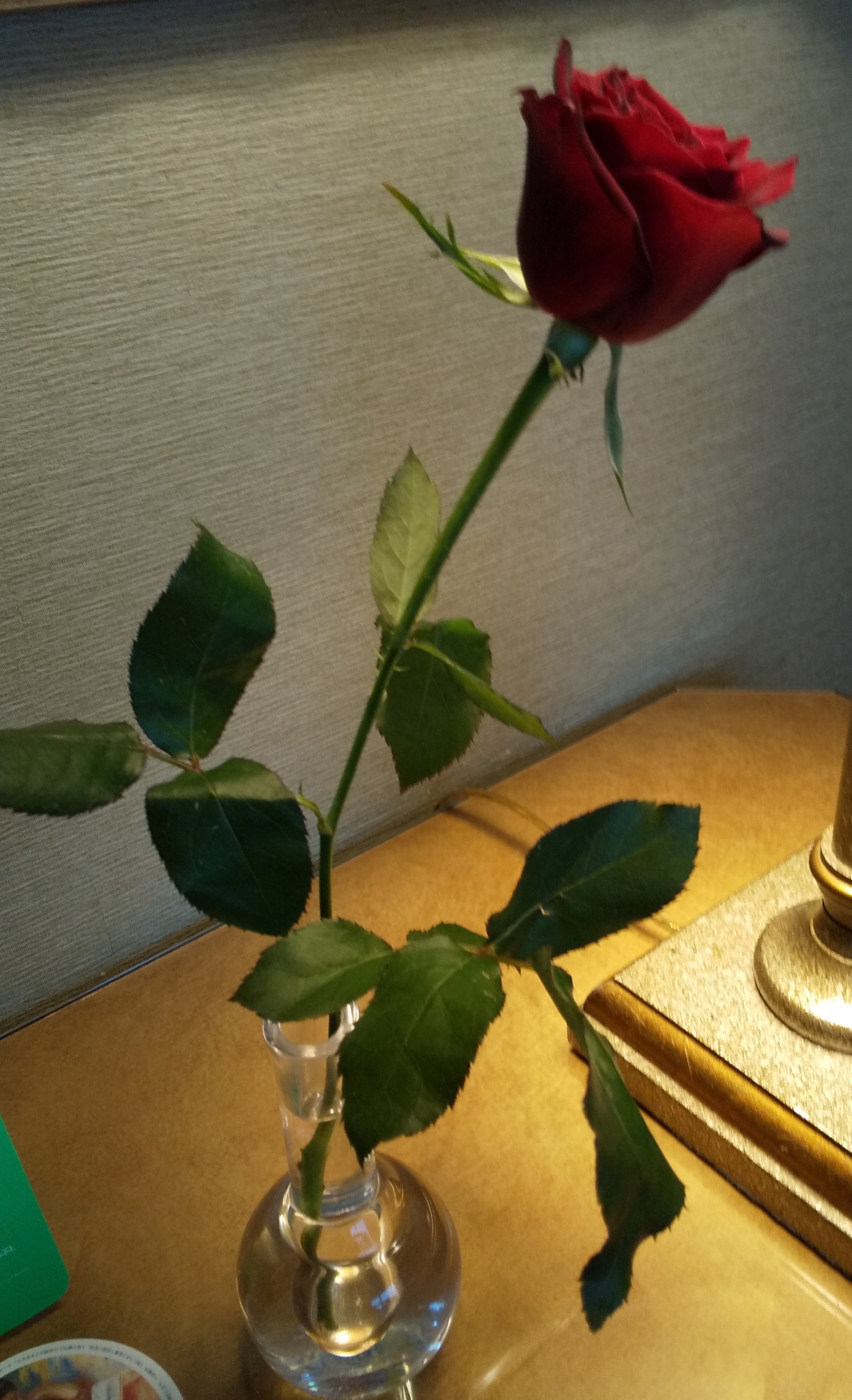 薔薇一輪