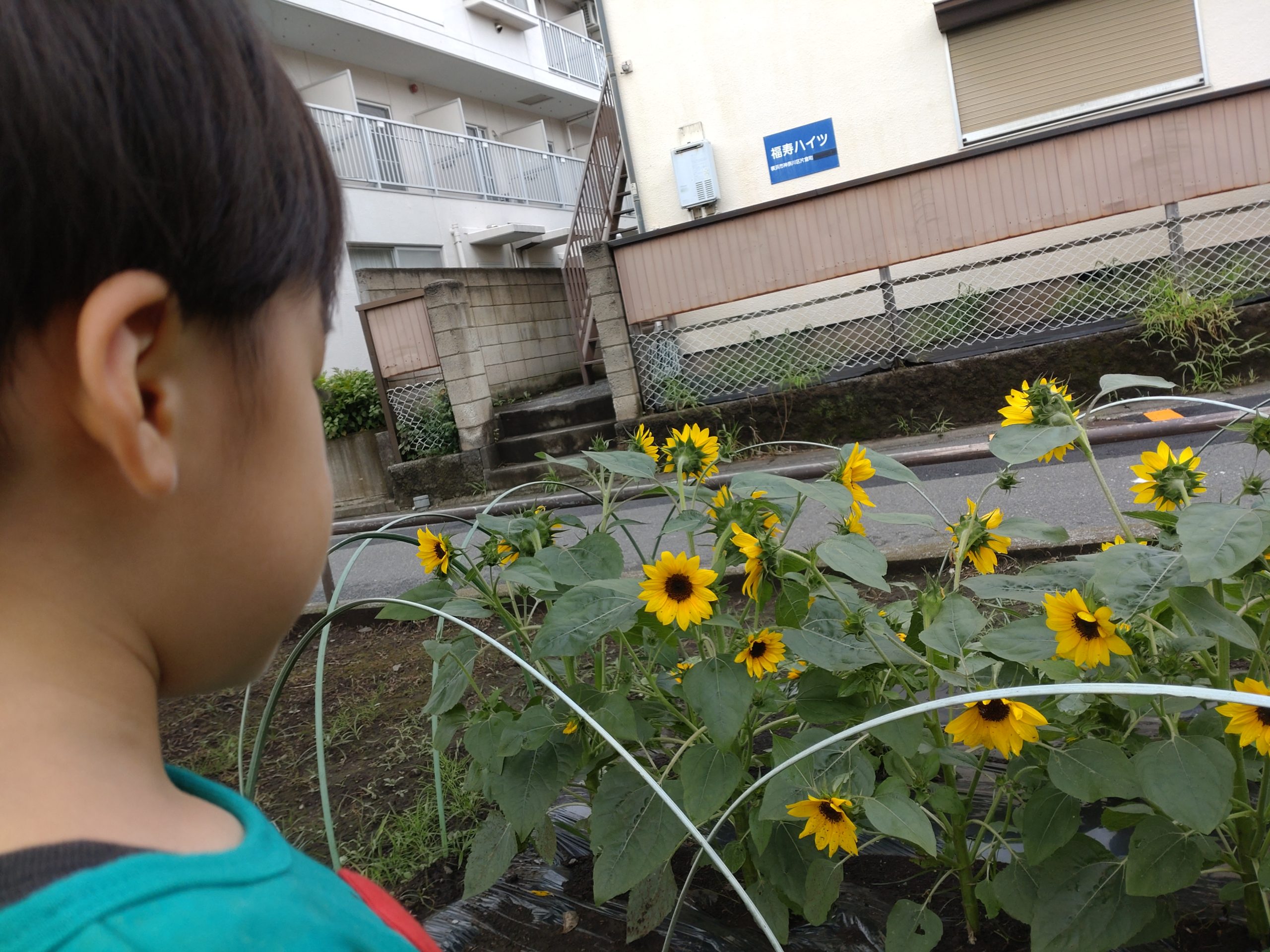 ７月に入りました！