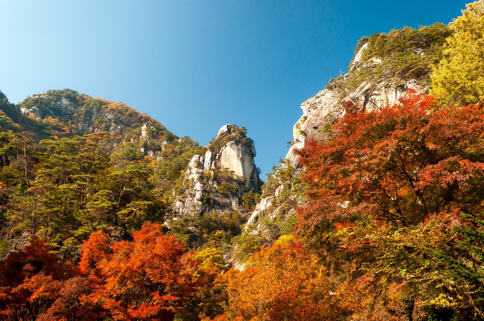 10月になると思い出す。