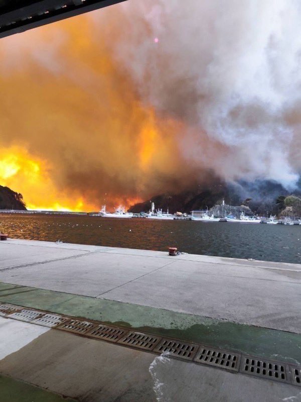岩手県大船渡市の山火事