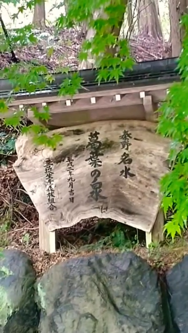 秦野の水はうんめぇゾ！！