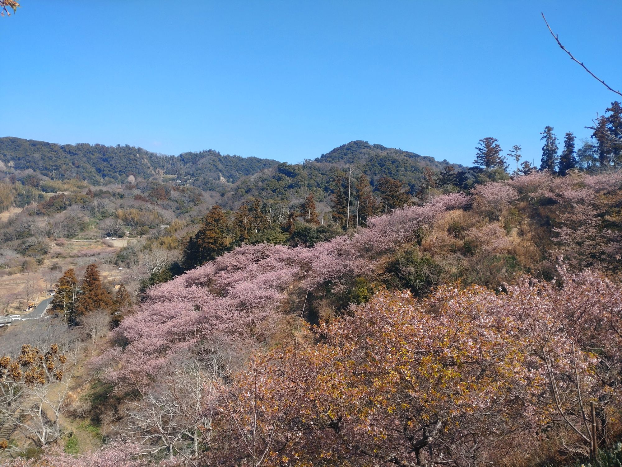 雨不足で底が露わになっているダムを見て己の未熟さを嘆いた春の一日。