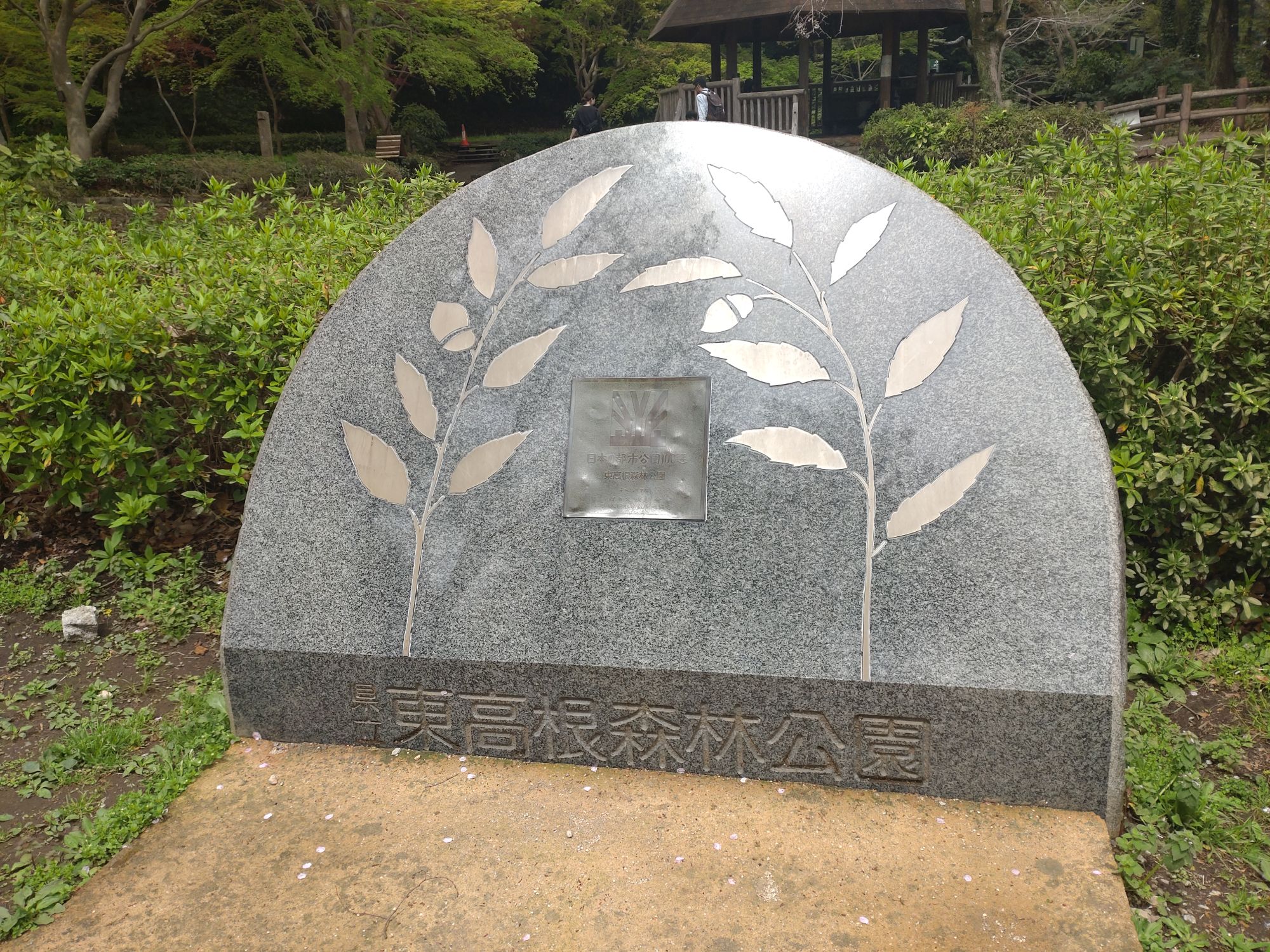 【川崎市宮前区】東高根森林公園に行ってきました。