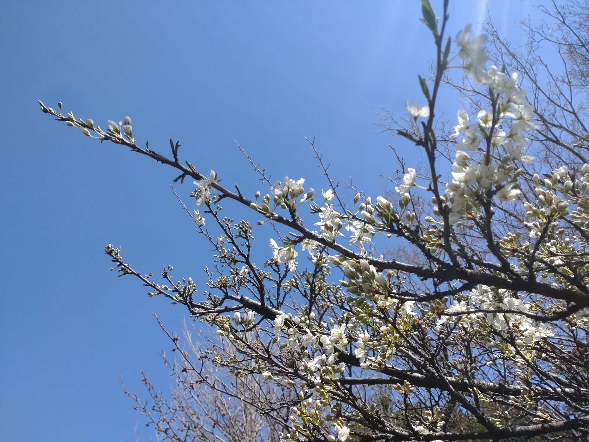 ４月に入りました！