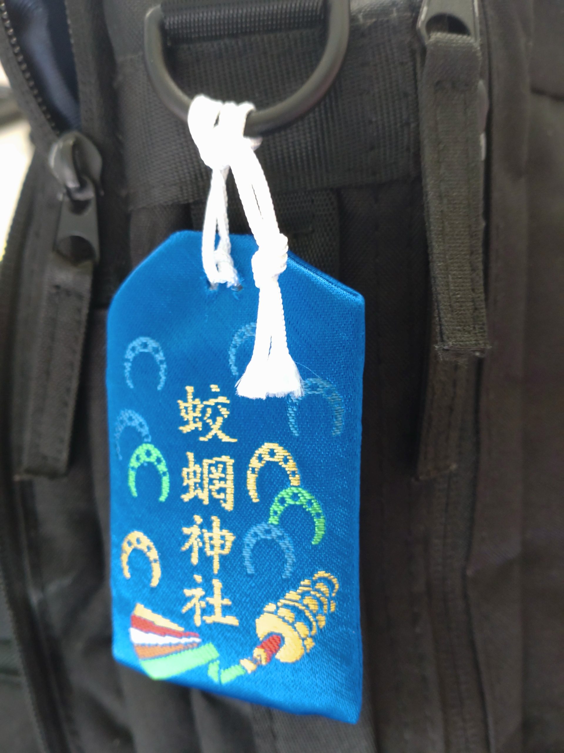 帰郷してきた！