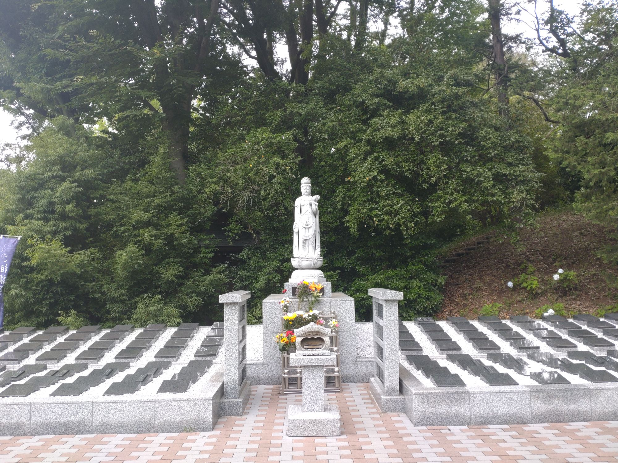 関東地方も梅雨に入りしました。花を見ましょう。