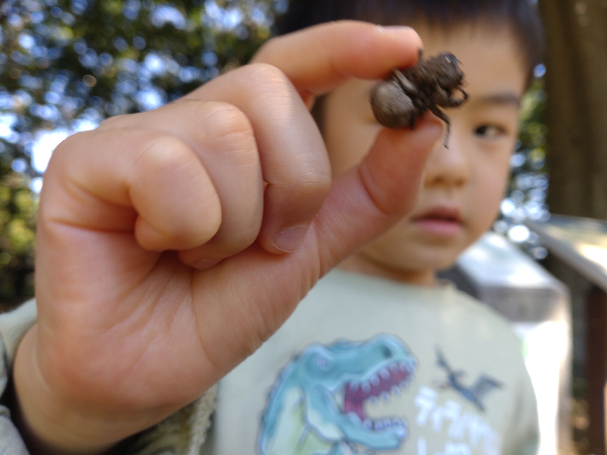 秋の公園にて。