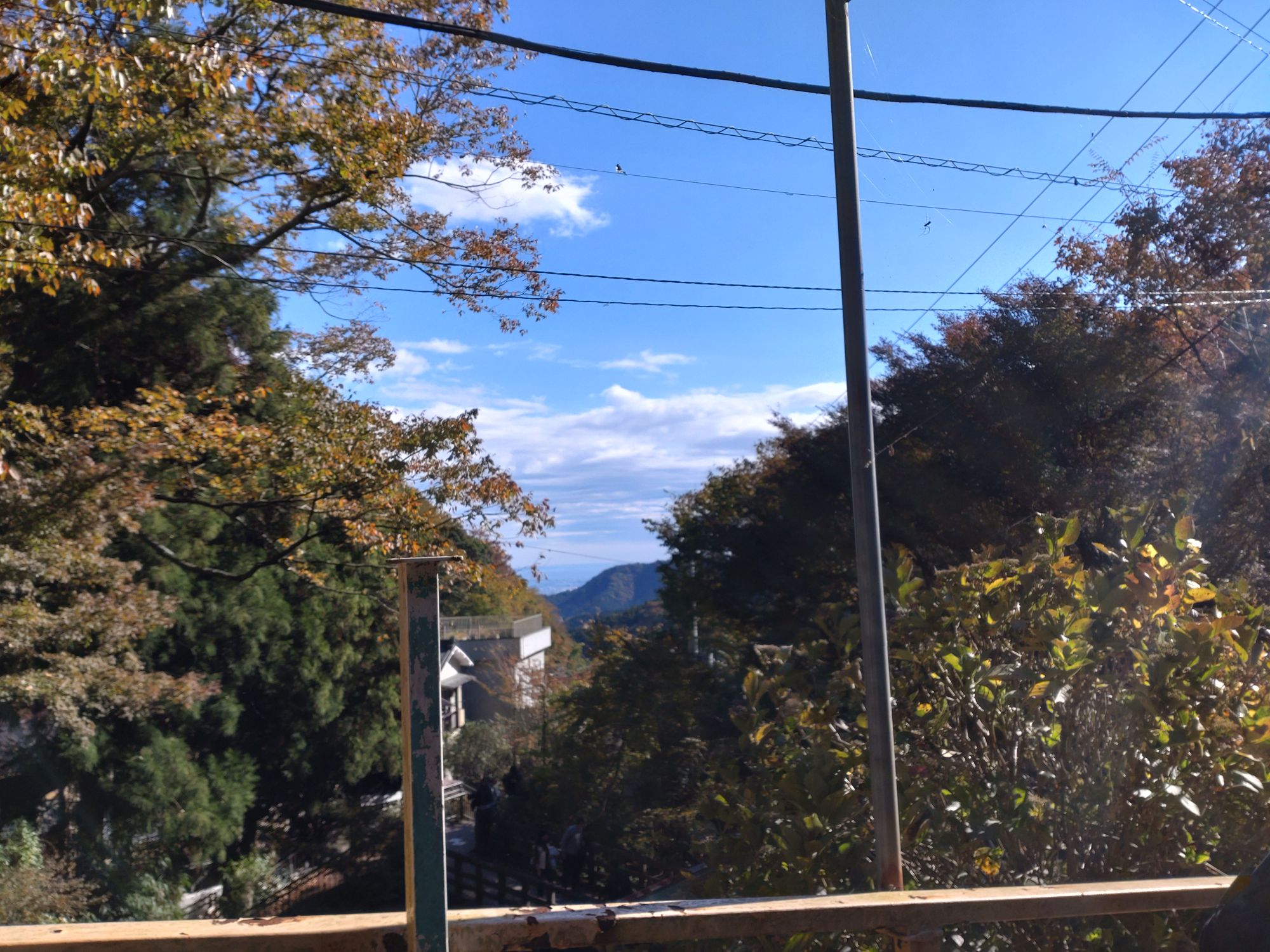 ２０２４年の新嘗祭は大山阿夫利神社へ。