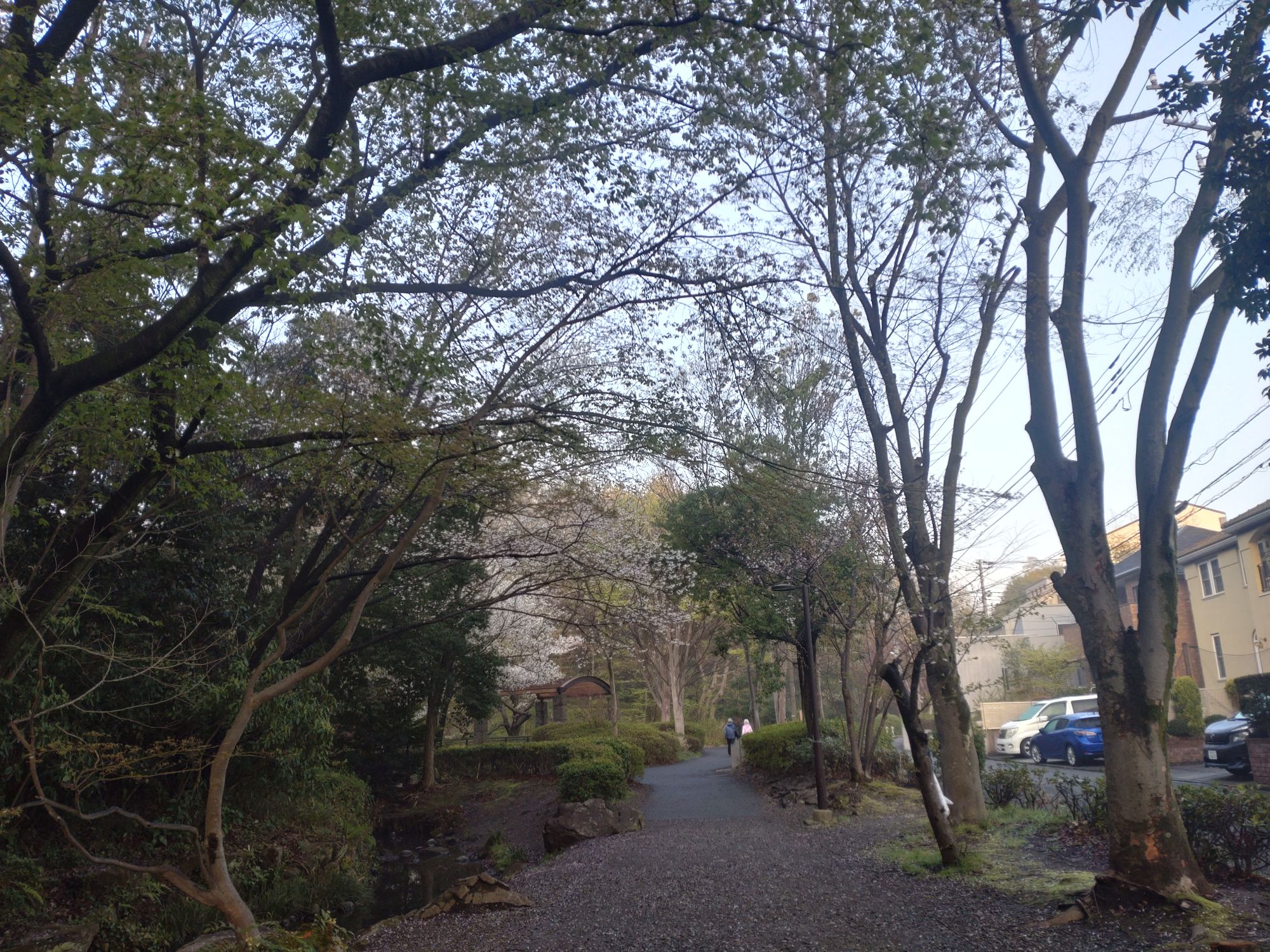 朝の瞑想