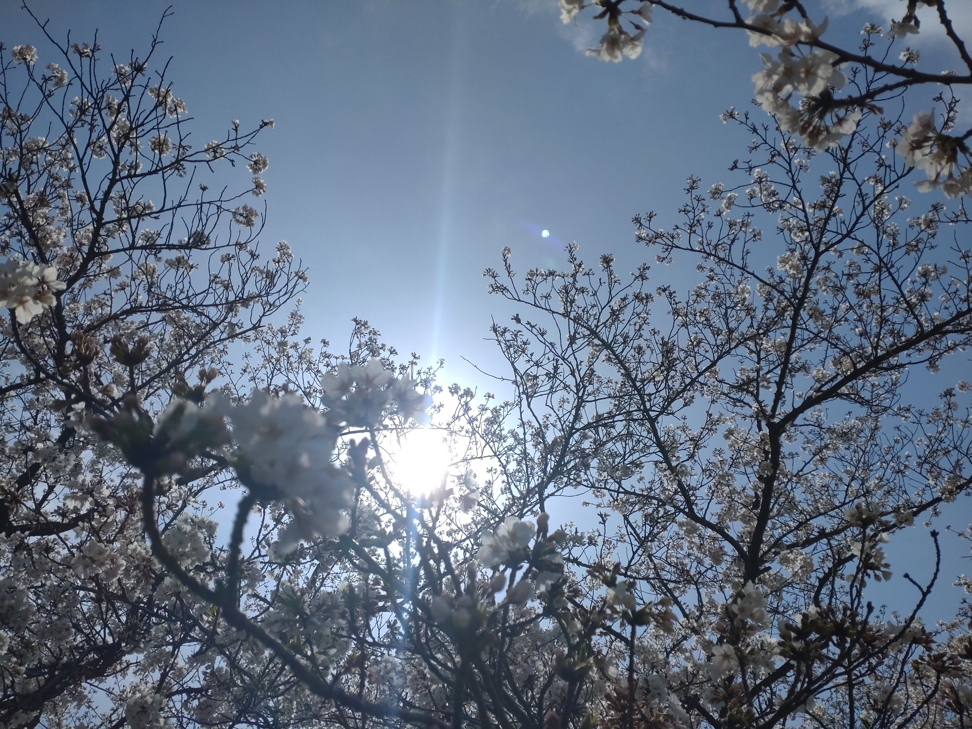 日々、感謝。