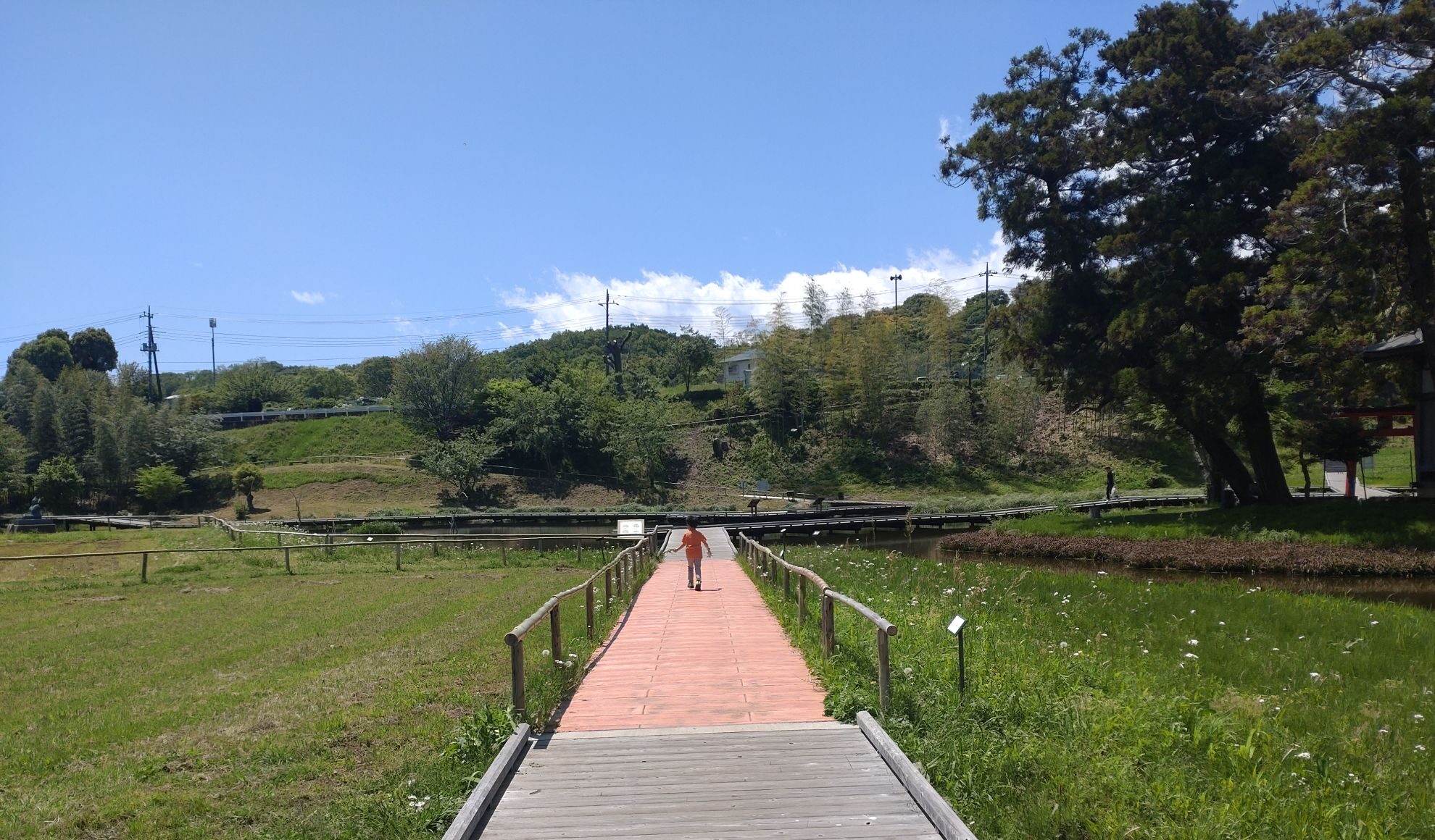 秦野市が好き。