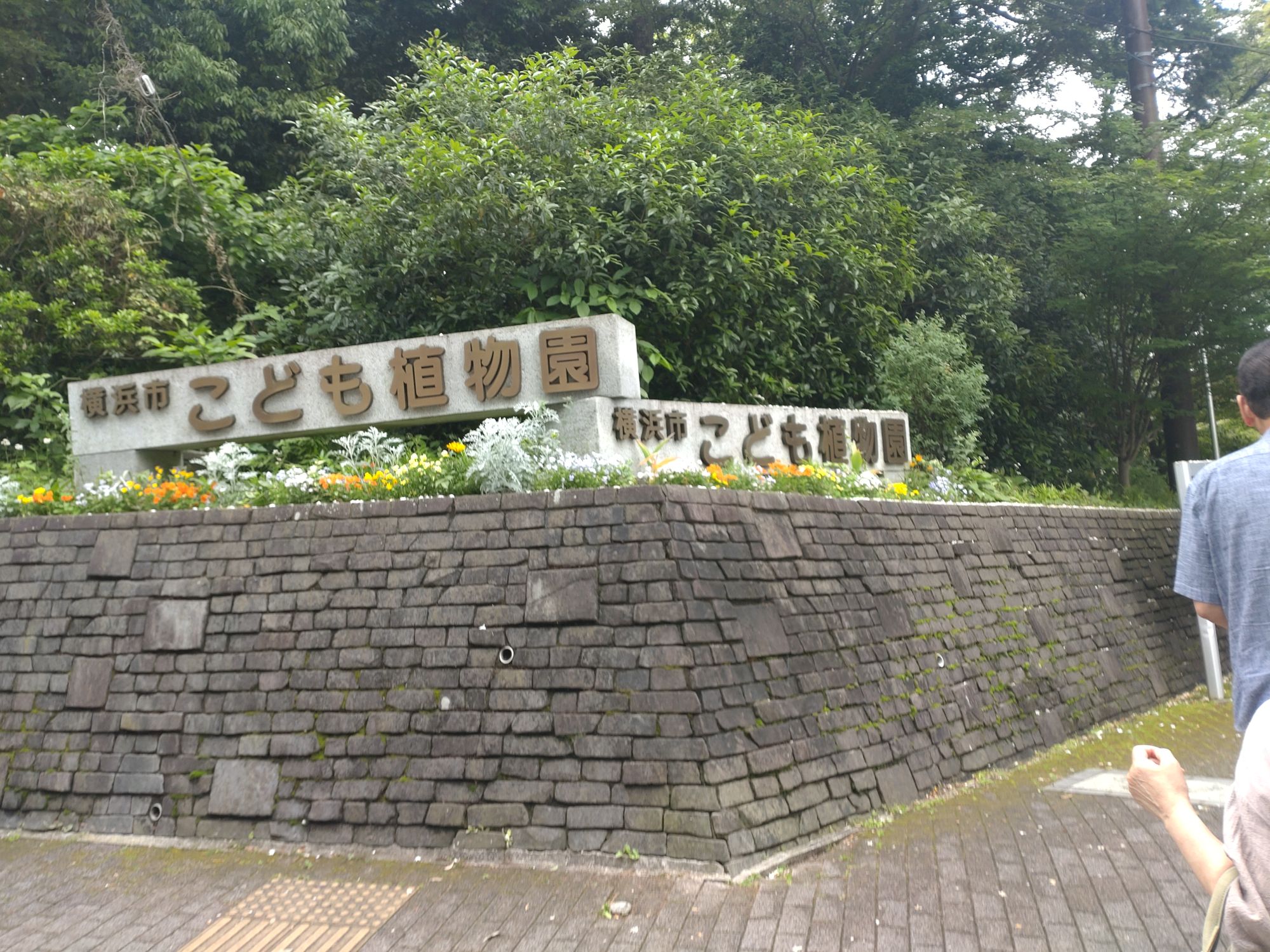 横浜市こども自然植物園