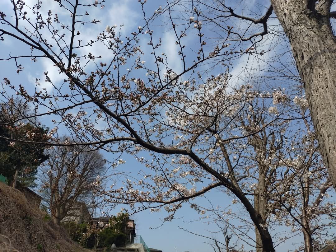 春本番！！