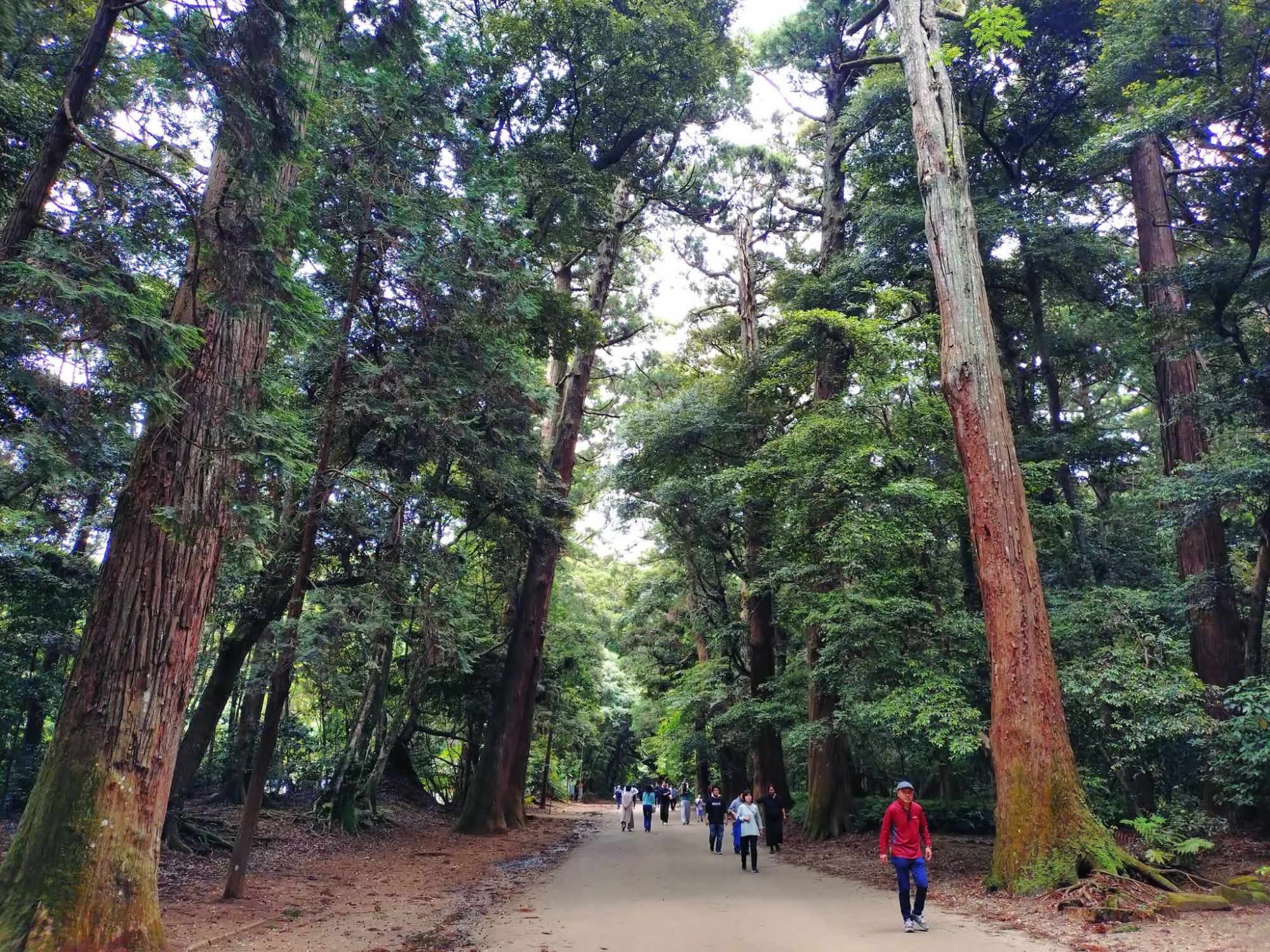 心が動いたと感じた時、私は鹿嶋に行く。