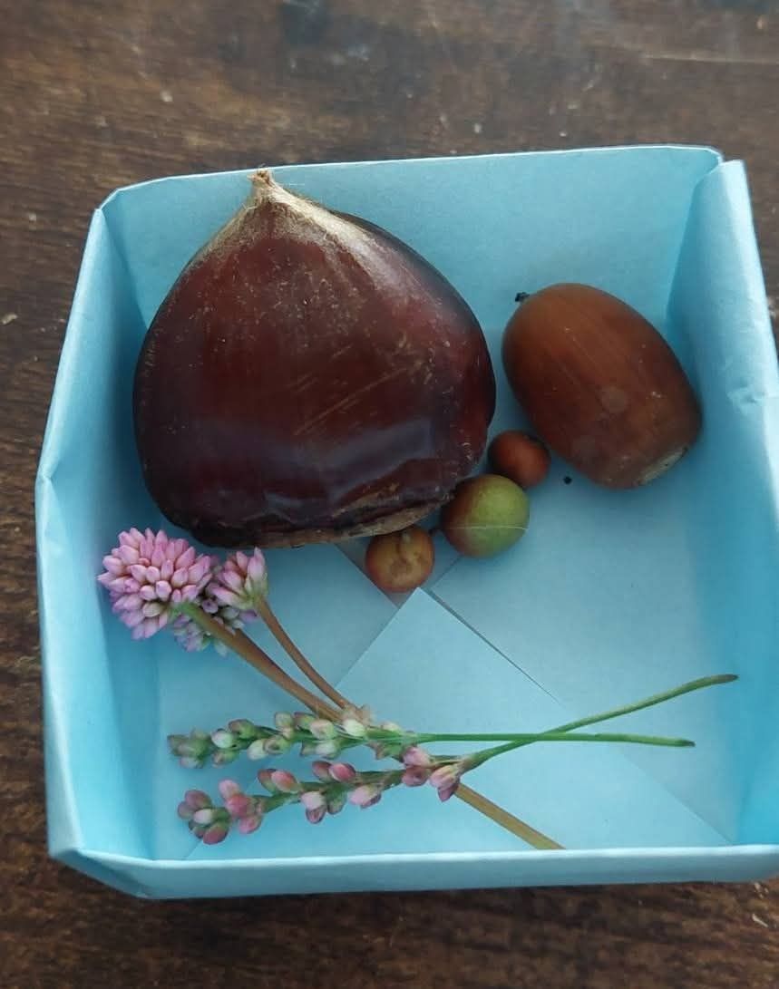 秋ですねぇ。