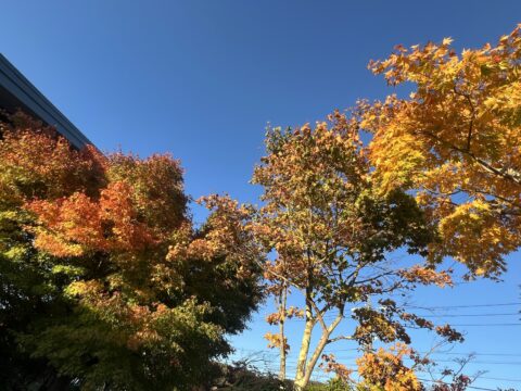 紅葉は綺麗だけど寒い軽井沢