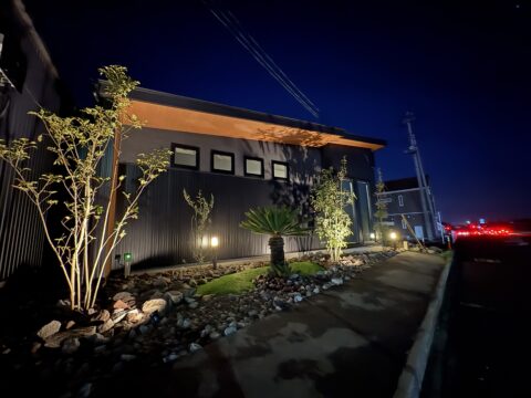 新事務所の植栽完成