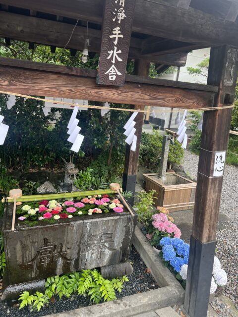 癒される