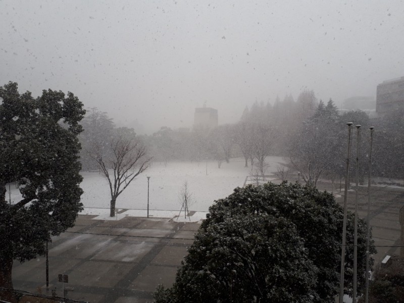 大雪！！